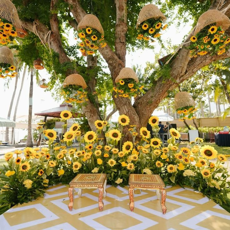 3DC2EEE4-CEAC-4E66-A9B1-ABB1E0500D12